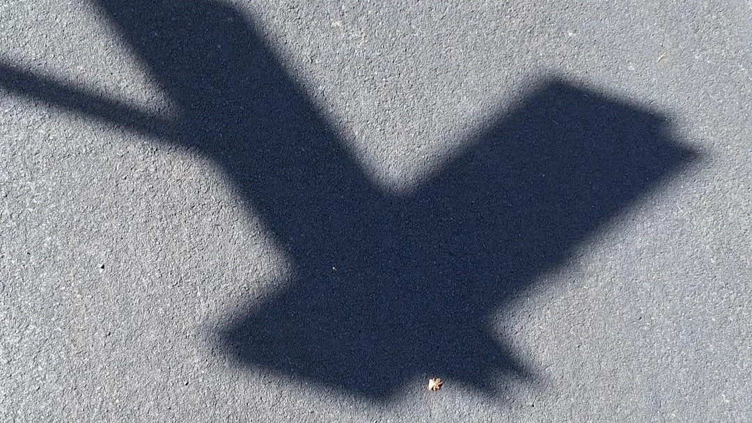 Letter Y by the shadow from the sign