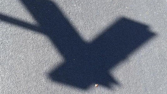 Letter Y by the shadow from the sign