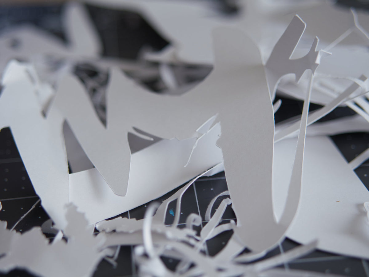 Paper-cut letterforms from Mary Pavlova's experiments with letter shapes