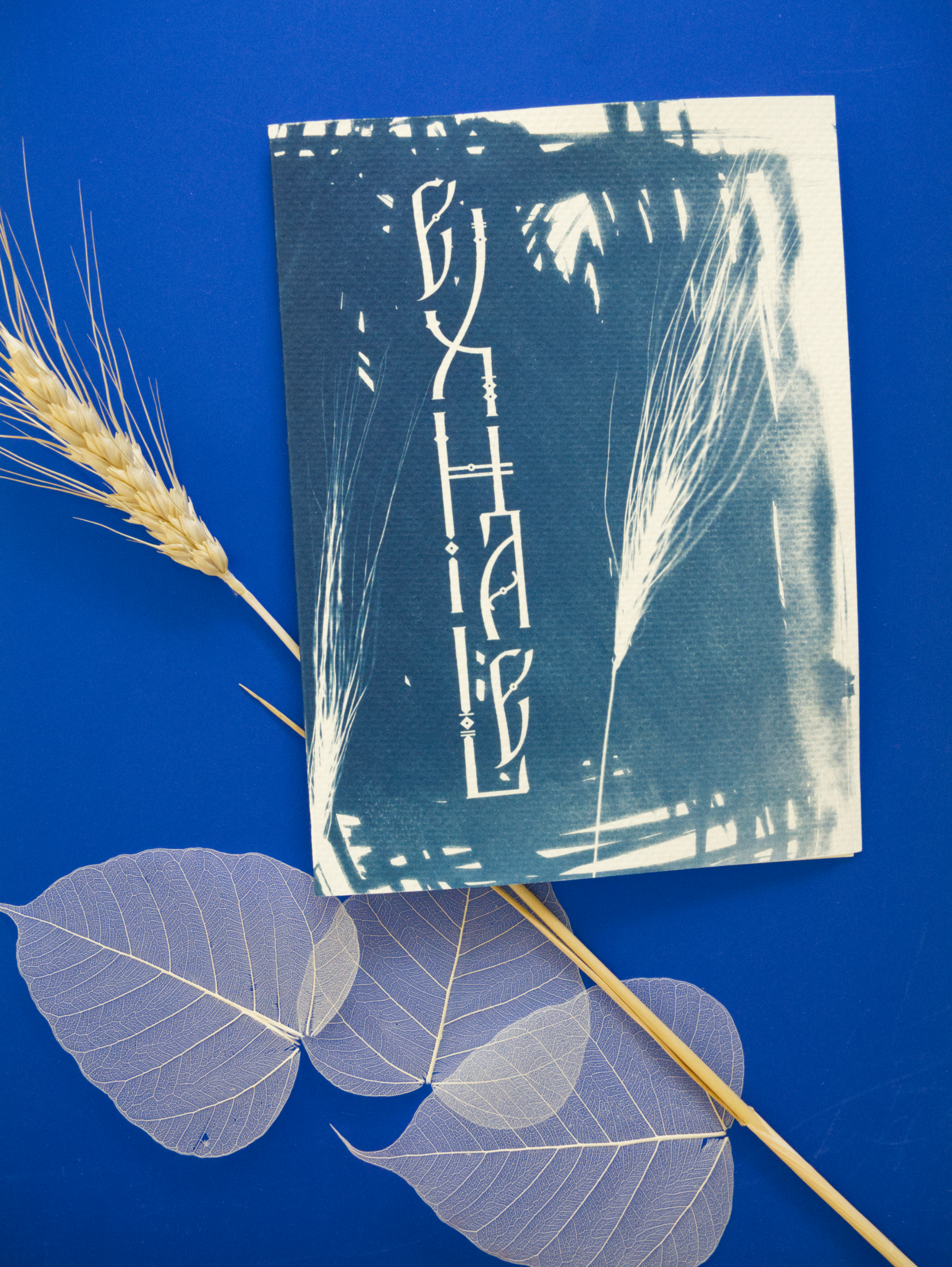 Blue and white abstract cyanotype greeting card with lettering Exhale on a blue background with leaves