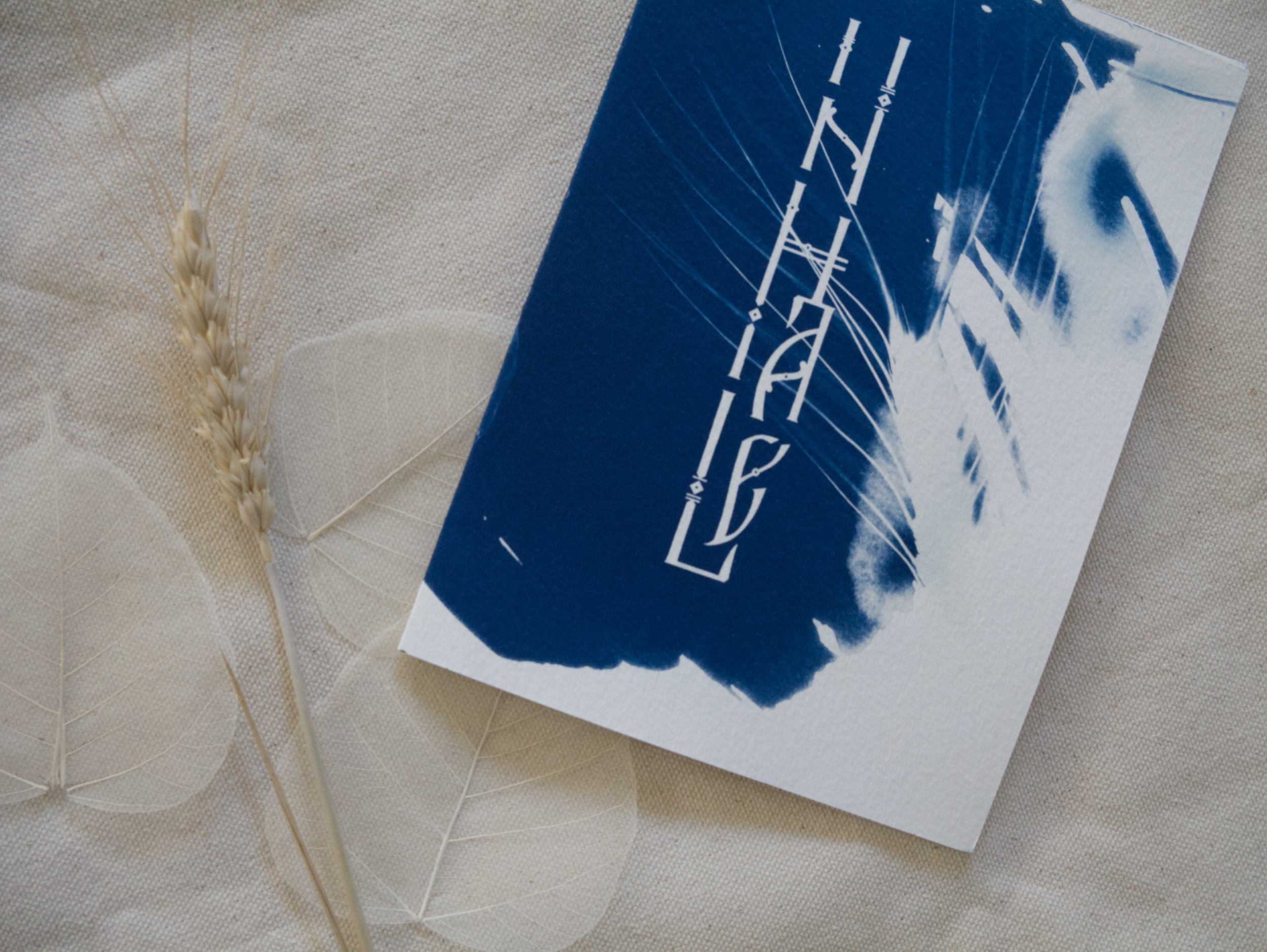 Blue and white abstract cyanotype greeting card with lettering Inhale on a textured surface with dried leaves.