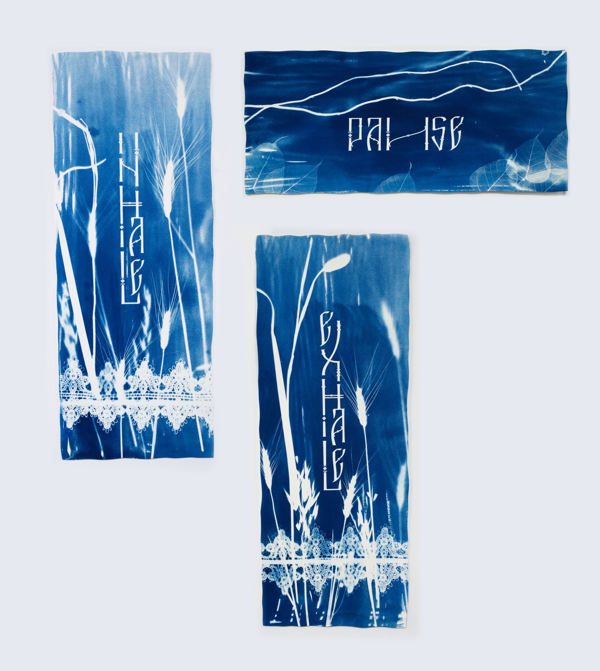 Cyanotype Wall Art 9x23"- The Breath Cycle